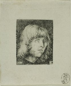 Head of a Young Man by Albrecht Altdorfer