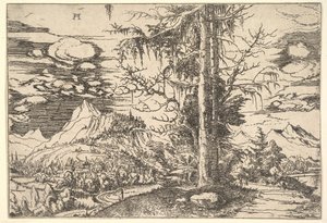 Landscape with a Double Spruce by Albrecht Altdorfer
