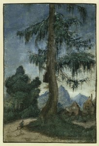 Landscape with a spruce, ca 1522 by Albrecht Altdorfer