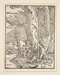 The Child Jesus with St. Christopher, from the series The Fall and Redemption of Man by Albrecht Altdorfer