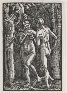 The Fall and Redemption of Man: Adam and Eve Eating the Forbidden Fruit by Albrecht Altdorfer