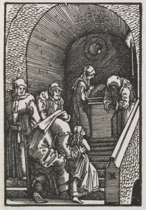 The Fall and Redemption of Man: The Presentation of the Virgin in the Temple by Albrecht Altdorfer