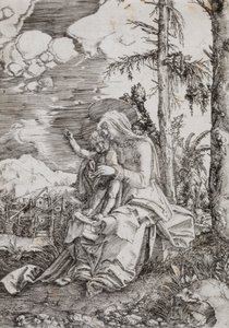 Virgin and Child in a Landscape by Albrecht Altdorfer