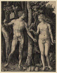 Adam and Eve