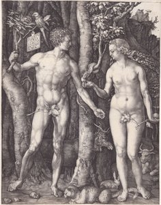 Adam and Eve by Albrecht Dürer