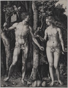 Adam and Eve by Albrecht Dürer