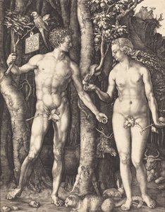 Adam and Eve by Albrecht Dürer