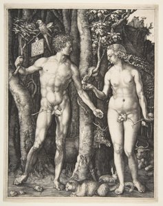 Adam and Eve, 1504 by Albrecht Dürer
