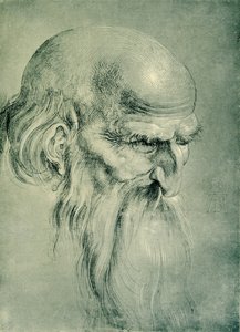 Apostle Head