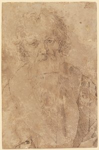 Bearded Old Man by Albrecht Dürer
