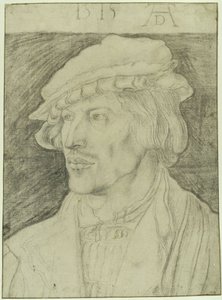 Bust of a Beardless Young Man, Facing Left by Albrecht Dürer