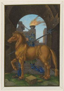 The Little Horse by Albrecht Dürer