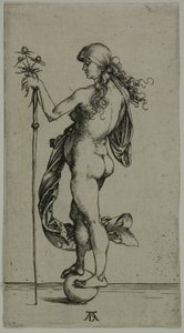 Fortune by Albrecht Dürer