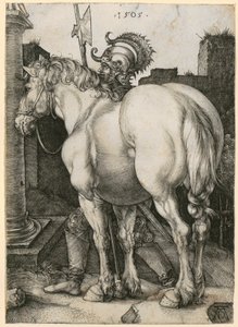 Large Horse by Albrecht Dürer
