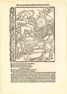 Despising Good Advice by Albrecht Dürer