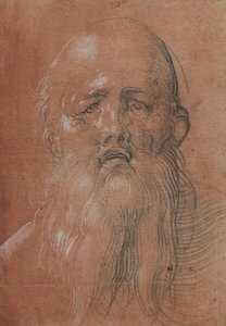 Head of a Bearded Man