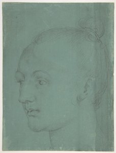 Head of a Young Woman by Albrecht Dürer
