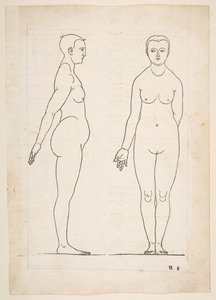 Illustration from Dürer