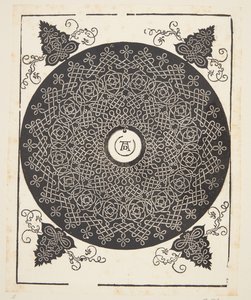Interlaced Cord Pattern with White Medallion