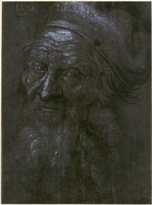 Head of a 93-Year-Old Man by Albrecht Dürer