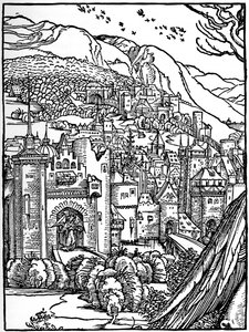 Landscape