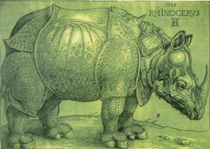 The Rhinoceros