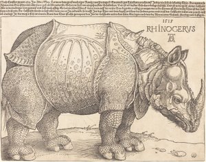 The Rhinoceros by Albrecht Dürer