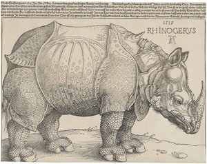The Rhinoceros by Albrecht Dürer