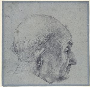 Male Head in Profile by Albrecht Dürer