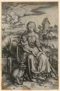 Mary with the Meerkat by Albrecht Dürer