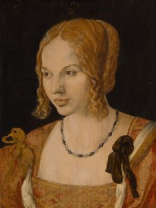 Portrait of a Young Venetian Woman by Albrecht Dürer