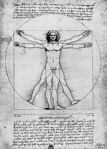 Proportions of the Human Figure, c1492, 1936 by Albrecht Dürer