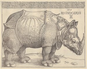 Rhinoceros by Albrecht Dürer