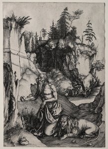 St. Jerome in Penitence by Albrecht Dürer