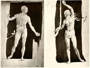 Studies on Adam and Eve by Albrecht Dürer