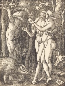 The Fall of Man by Albrecht Dürer