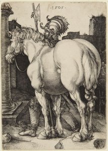 The Great Horse by Albrecht Dürer