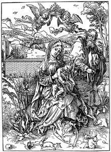 The Holy Family with the Three Hares by Albrecht Dürer