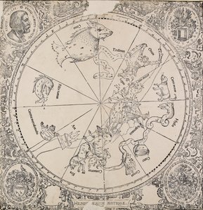 The Celestial Chart of the Southern Hemisphere