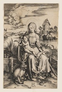 Virgin and Child with the Monkey by Albrecht Dürer