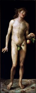 Adam by Albrecht Dürer or Duerer