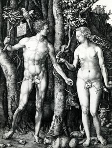 Adam and Eve by Albrecht Dürer