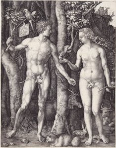 Adam and Eve by Albrecht Dürer