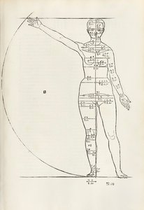 Female anatomical woodcut from 