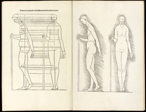 Female with staff, anatomical woodcut from Hierinn sind begriffen vier Bücher von menschlicher Proportion, 1528 by Albrecht Dürer