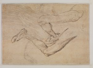 Study of a Left Leg from Two Viewpoints by Albrecht Dürer