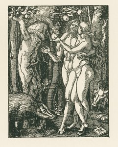 The Fall of Man, c.1510 by Albrecht Dürer or Duerer