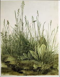 The Large Piece of Turf