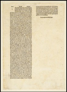 Verso of The Apocalypse, Saint Michael Fighting the Dragon, 1497
