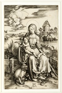 Virgin and Child with Monkey by Albrecht Dürer